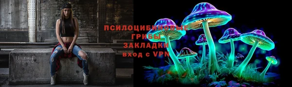 спиды Аркадак