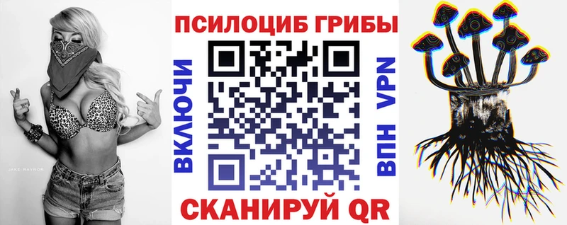 Псилоцибиновые грибы мухоморы  хочу наркоту  Чернушка 
